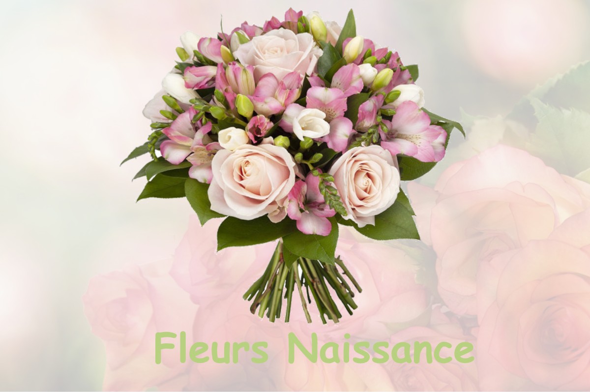 fleurs naissance SINARD