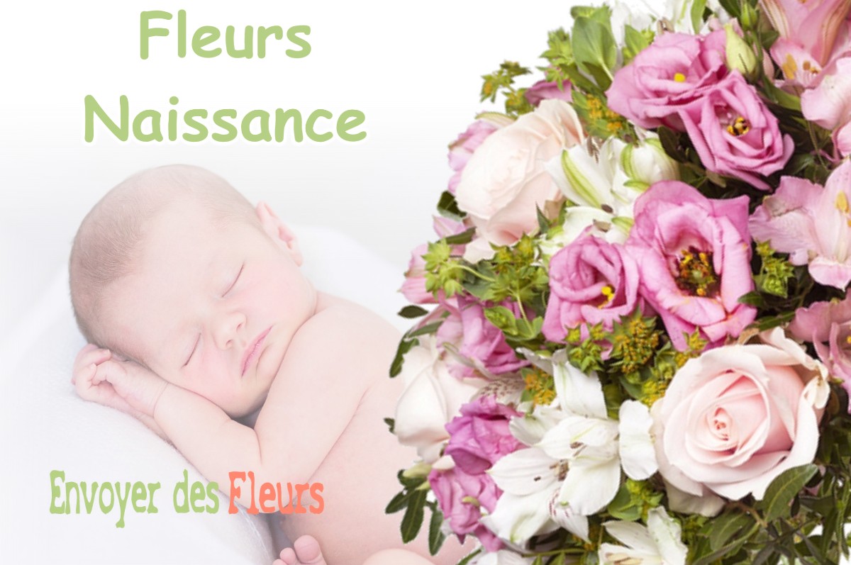 lIVRAISON FLEURS NAISSANCE à SINARD